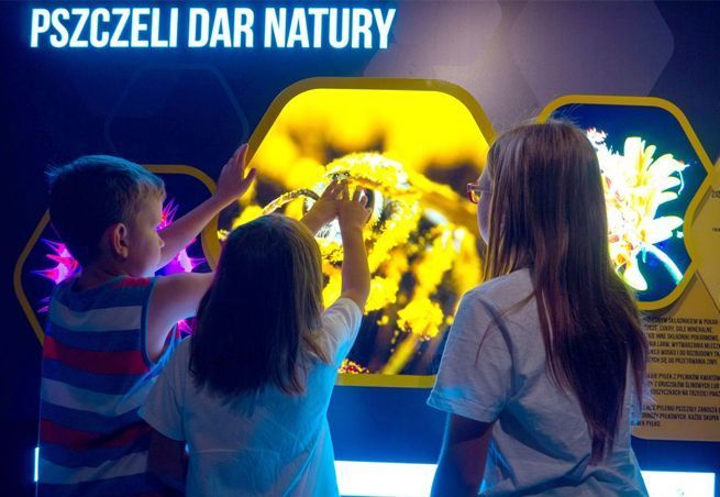 APILANDIA - interaktywne centrum pszczelarskie w Pasiece Łysoń
