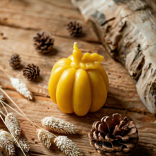 Świeca z wosku pszczelego  dynia