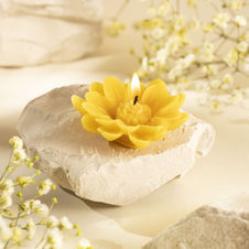 Świeca z wosku pszczelego Margaretka - naturalna