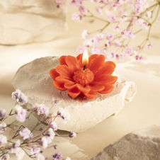 Świeca z wosku pszczelego Margaretka - czerwona