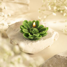 Świeca z wosku pszczelego Margaretka - zielona