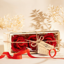 Świeca z wosku pszczelego pakiet czerwona róża 3szt. w łubiance