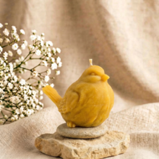 Świeca z wosku pszczelego ptak duży